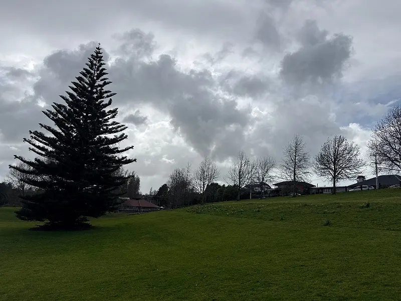 The Day the Clouds Filed a Whispered RSVP