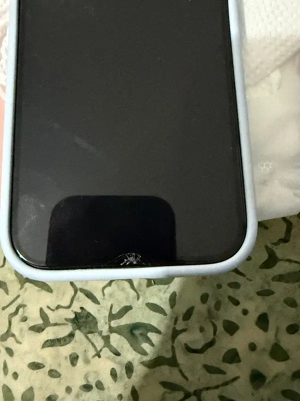 Screen Zen, Case Chic