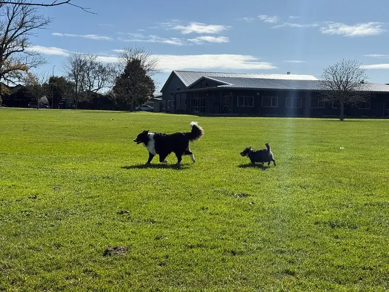 The Quest of Dawn and Puddle